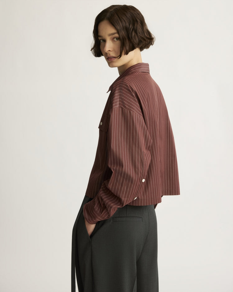 Hester Striped Button Down Shirt in Oxblood Stripe